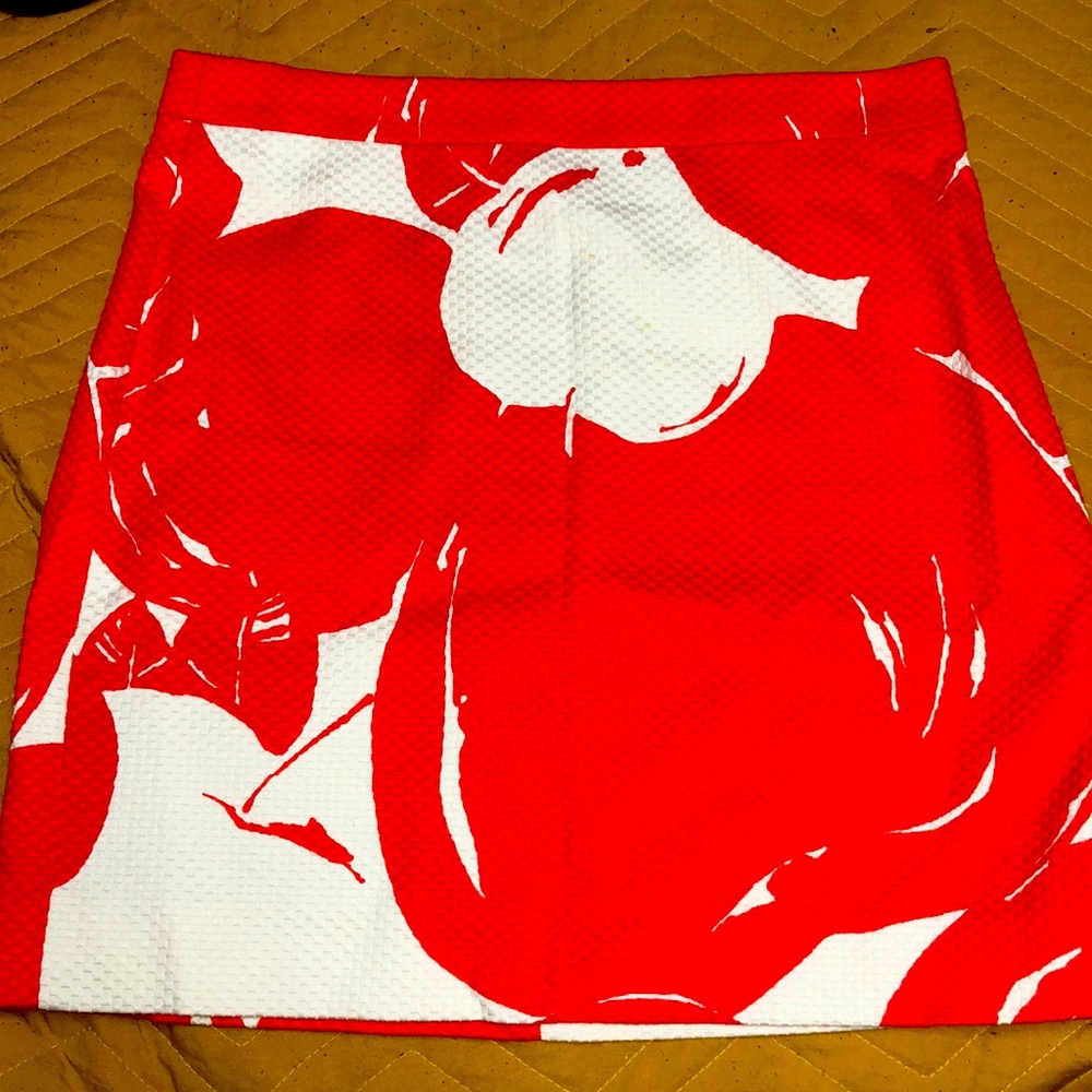 J.Crew skirt